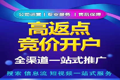 百度竞价优化技巧：实战案例深度剖析